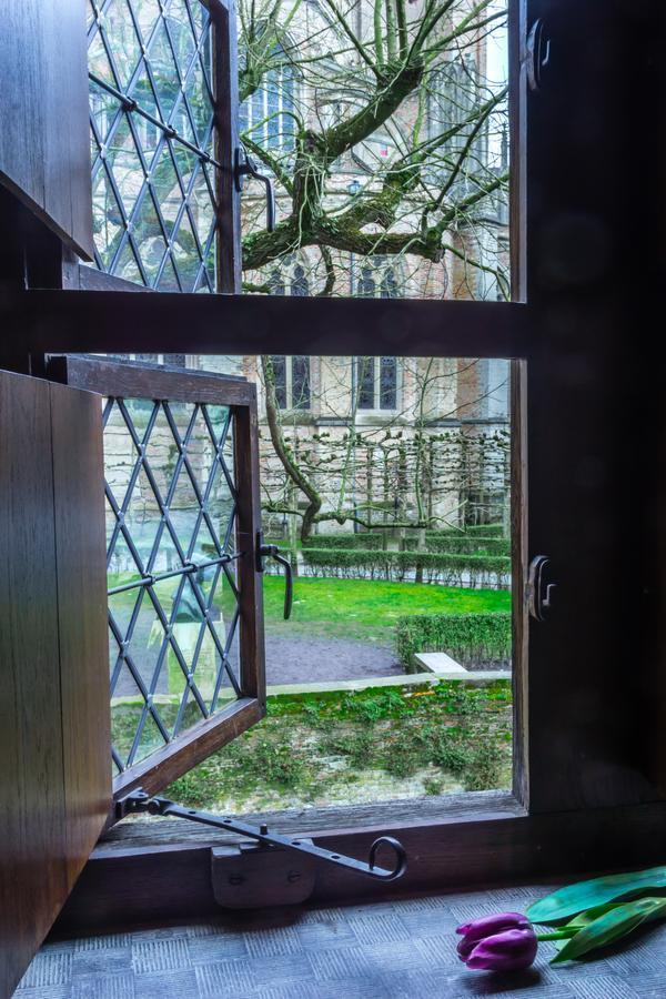 Exclusive Bonifacius Bed & Breakfast 4*